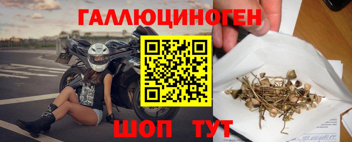 Галлюциногенные грибы MAGIC MUSHROOMS  Вход с VPN  Псилоцибиновые грибы прущие грибы  Арсеньев 